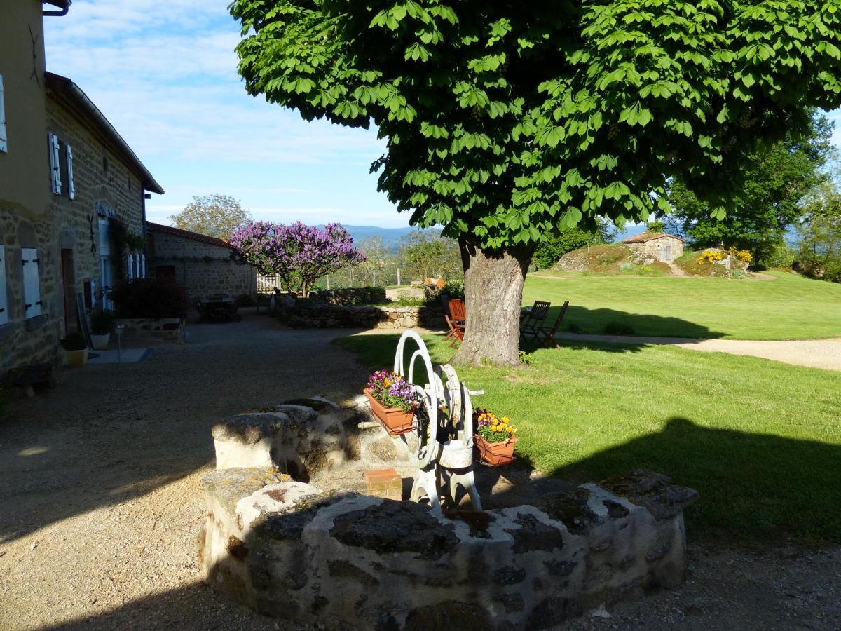 Chez Tiane Puy De Dome Bed & Breakfast Saint-Flour  Eksteriør bilde